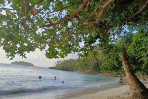 Paseo en 4 Islas paradisíacas de Portobelo conguía, salvavida