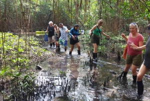 Portobelo: A Caribbean Adventure of Nature & History