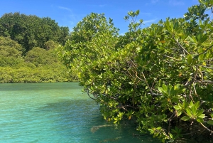 Gira 4 en 1 Portobelo, Cristo Negro, Venas Azules y Playa Blanca