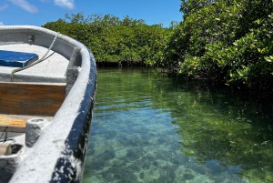 Gira 4 en 1 Portobelo, Cristo Negro, Venas Azules y Playa Blanca