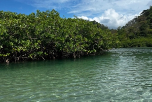 Gira 4 en 1 Portobelo, Cristo Negro, Venas Azules y Playa Blanca