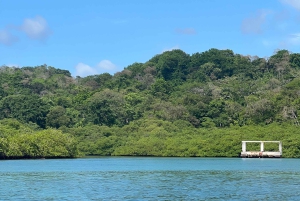 Gira 4 en 1 Portobelo, Cristo Negro, Venas Azules y Playa Blanca