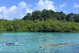 Gira 4 en 1 Portobelo, Cristo Negro, Venas Azules y Playa Blanca