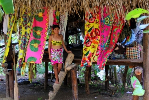 Private 6 hours Tour to Embera´s Community Panama Roots