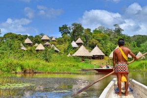 Tour privado de 6 horas a la Comunidad Embera Raíces de Panamá