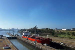 Private or Small Group Tour of the City and Panama Canal
