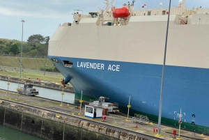 Private or Small Group Tour of the City and Panama Canal