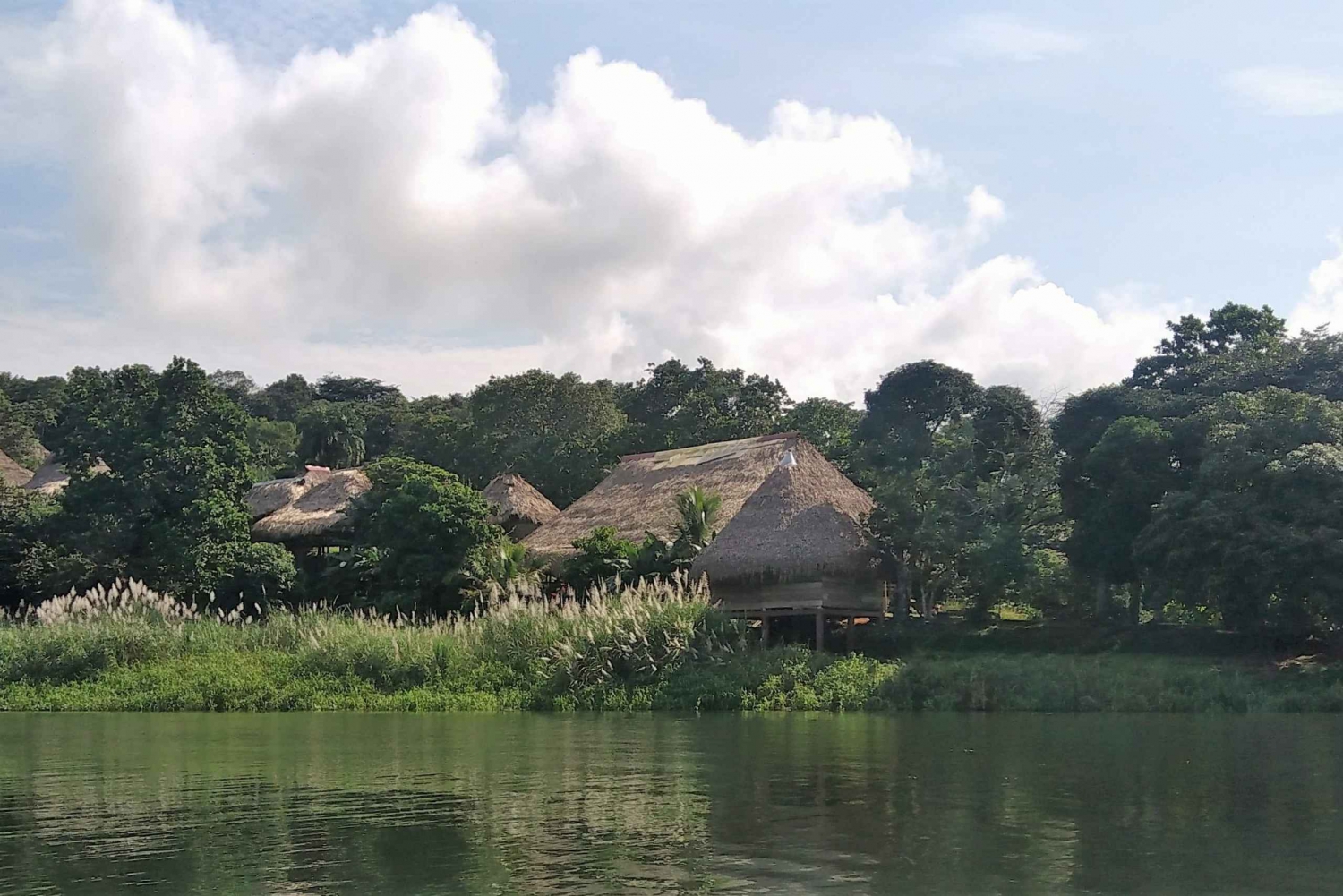 Panama City: Monkey Island and Embera Village Private Tour