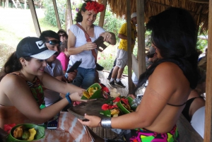 Private Tour to Monkey Island and Embera Village