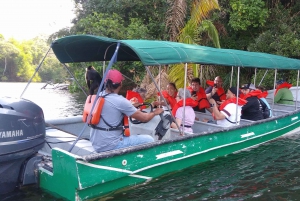 Panama City: Monkey Island and Embera Village Private Tour
