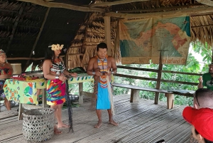 Panama City: Monkey Island and Embera Village Private Tour