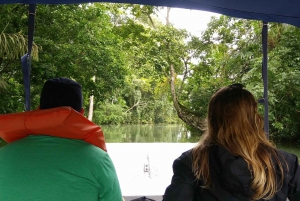 Panama City: Monkey Island and Embera Village Private Tour