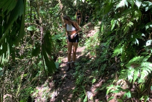 Puerto Viejo or Cahuita: Bribri Hidden Waterfalls Excursion with Lunch