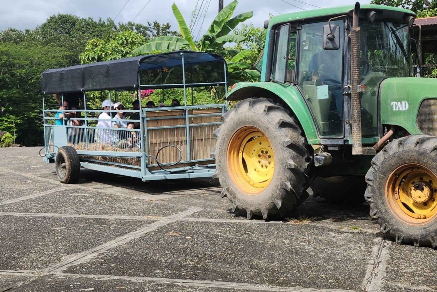 Regenerative Farm Day Trip 1 hr from Panama City in Chepo