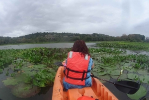 Rio Chagres: Gatun Lake Kayaking Tour