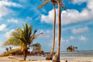 San Blas Bliss: Explore the Top 3 Islands, All Included