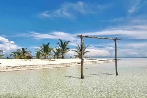 Ciudad de Panamá: tour de un día a la isla de San Blas y la Isla Nuevo Paraíso