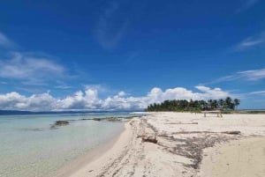 Ciudad de Panamá: tour de un día a la isla de San Blas y la Isla Nuevo Paraíso