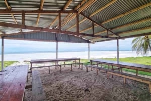 Panama City: Tour di un giorno dell'Isola di San Blas e dell'Isola del Nuovo Paradiso