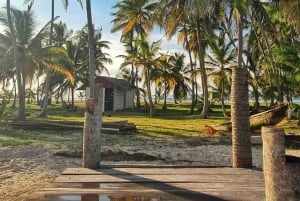 Panama City: Tour di un giorno dell'Isola di San Blas e dell'Isola del Nuovo Paradiso