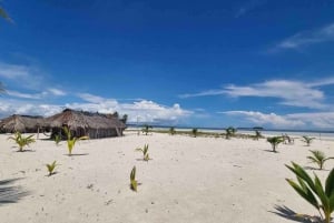 Panama Stadt: San Blas Island Day Tour & New Paradise Island