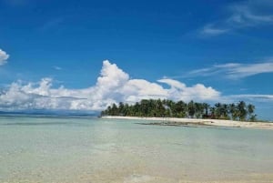 Ciudad de Panamá: tour de un día a la isla de San Blas y la Isla Nuevo Paraíso