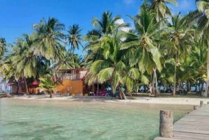 Panama City : Visite de l'île San Blas et de l'île New Paradise