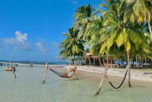 Panama City: Tour di un giorno dell'Isola di San Blas e dell'Isola del Nuovo Paradiso