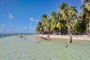 Panama City: Tour di un giorno dell'Isola di San Blas e dell'Isola del Nuovo Paradiso