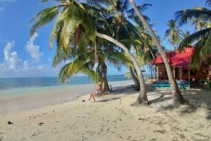 Panama City : Visite de l'île San Blas et de l'île New Paradise