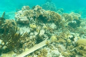 Islas San Blas: Excursión de un día en Velero con Comida y Bebidas