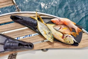 San Blas Eilanden: Dagtour op zeilboot met lunch en drankjes