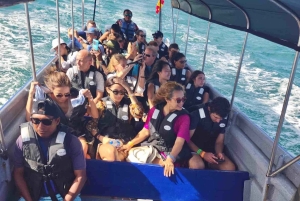 San Blas Islands Day Trip – 3 Islands, Snorkel & Lunch