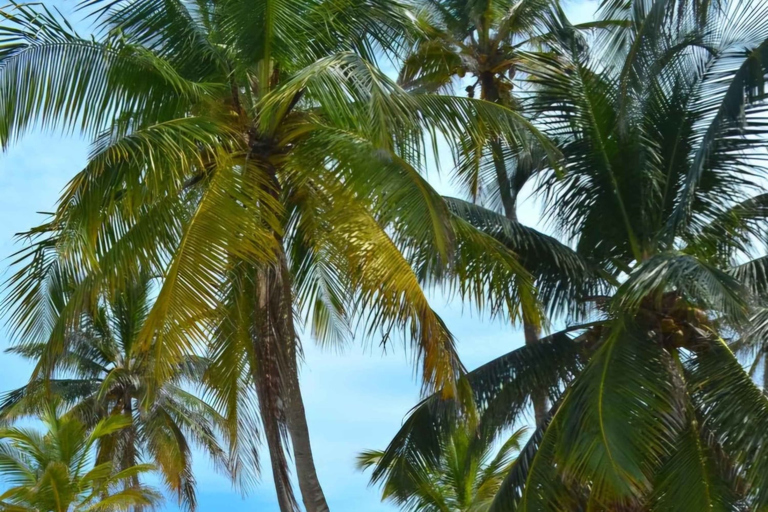 San Blas Secrets: Discovering the Caribbean Paradise