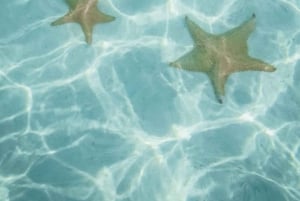 San Blas Secrets: Discovering the Caribbean Paradise