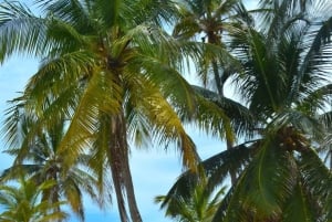 San Blas Secrets: Discovering the Caribbean Paradise