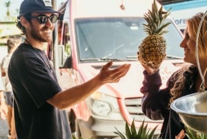 Gedeelde pendelbus van Panama Stad naar Playa Venao