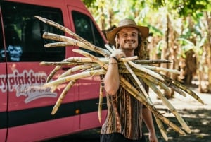 Transport fra Playa Venao til Panama City