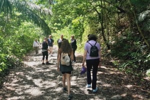 Santuario de los Perezosos Islas de los Monos Mariposas Exposiciones