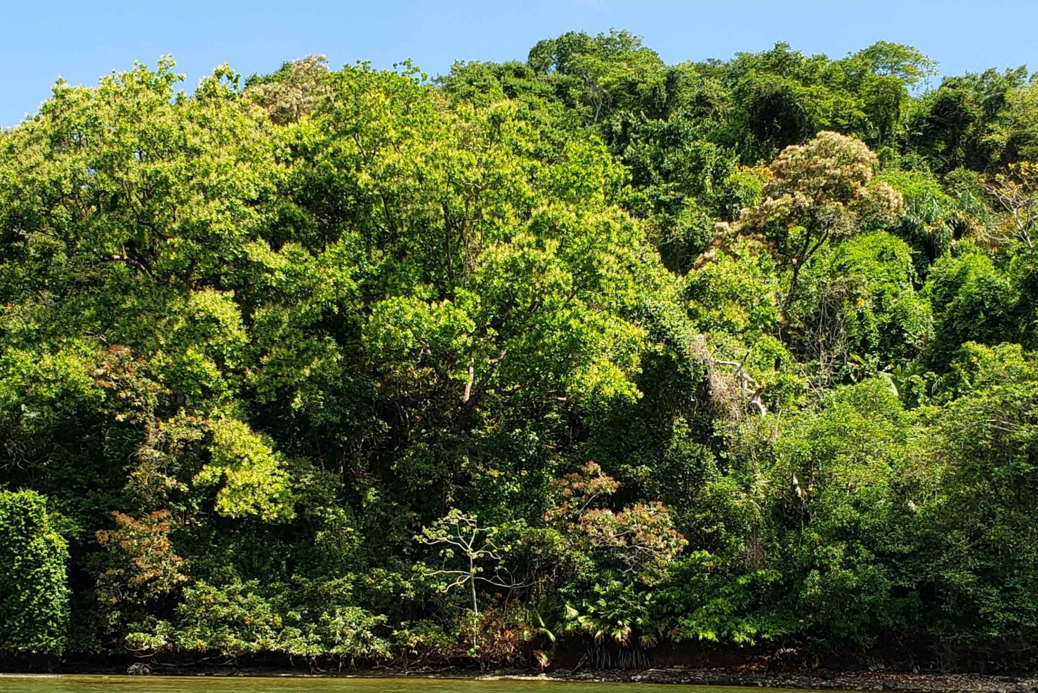 Snorkel in Panama's Caribbean and visit Portobleo WHS