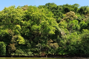 Snorkel in Panama's Caribbean and visit Portobleo WHS