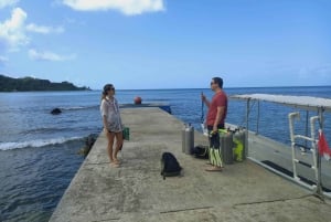 Snorkling og kajakeventyr på stranden i Portobelo