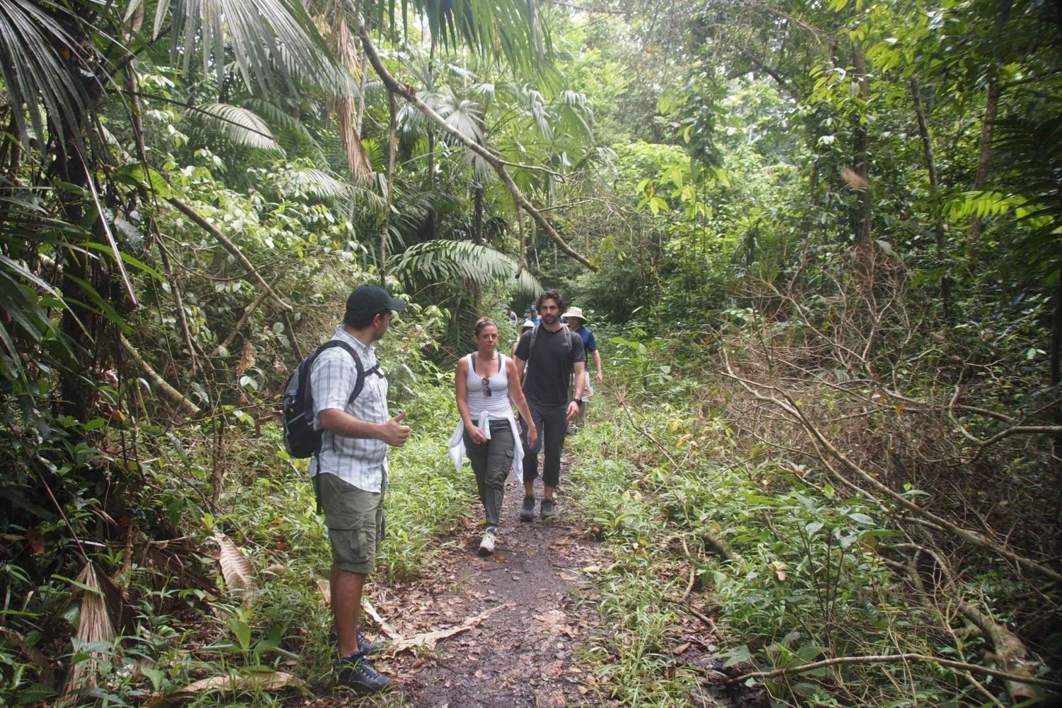 Soberania National Park Rainforest Hike
