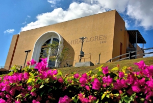 Tocumen or Albrook Airport: Panama Layover Tour