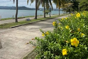 Panama City: Casco Viejo, Amador and Cinta Costera Tour