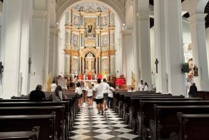 Turistrundtur i gamle og nye Panama City med lunsj og drikke