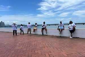 Ciudad de Panamá: Tour de medio día por los lugares más destacados y el Canal de Panamá