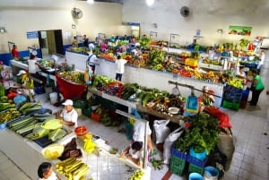 Turistrundtur i gamle og nye Panama City med lunsj og drikke