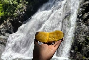 Trekking experience with transport included