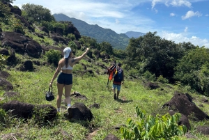 Trekking experience with transport included